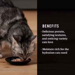 American Journey Landmark Broths Tuna, Shrimp & Whitefish Recipe Wet Cat Food Complement Pouches, 1.4 Oz Case Of 16 14 American Journey Landmark Broths Tuna, Shrimp & Whitefish Recipe Wet Cat Food Complement Pouches, 1.4 Oz Case Of 16 -PurePet Bites Shop 219436 PT3. AC SS1800 V1608237479