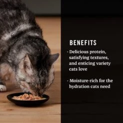 American Journey Landmark Broths Salmon, Tomatoes & Kale Recipe Wet Cat Food Complement Pouches, 1.4 Oz Case Of 16 -PurePet Bites Shop 219486 PT3. AC SS1800 V1608239577