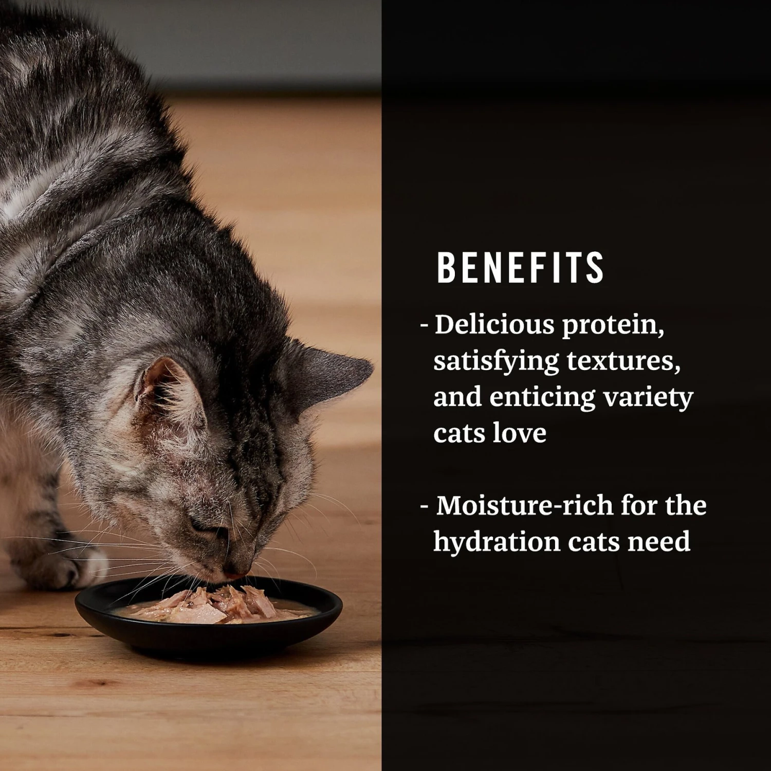 American Journey Landmark Broths Seafood Variety Pack Wet Cat Food Complement Pouches 6 American Journey Landmark Broths Seafood Variety Pack Wet Cat Food Complement Pouches - Image 4