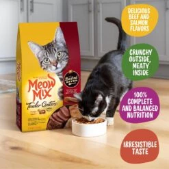 Meow Mix Tender Centers Basted Bites Beef & Salmon Flavors Dry Cat Food -PurePet Bites Shop 225314 PT2. AC SS1800 V1661377880