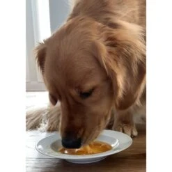 Caru Daily Dish Beef Broth Human-Grade Dog & Cat Wet Food Topper, 1.1-lb Bottle -PurePet Bites Shop 227869 PT3. AC SS1800 V1700674702