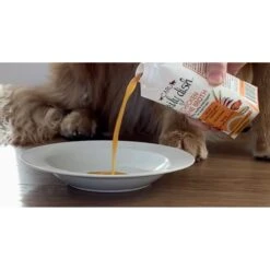 Caru Daily Dish Beef Broth Human-Grade Dog & Cat Wet Food Topper, 1.1-lb Bottle -PurePet Bites Shop 227869 PT5. AC SS1800 V1700674706