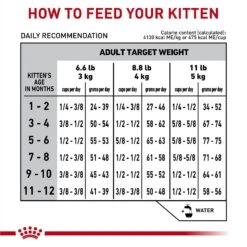Royal Canin Veterinary Diet Kitten Gastrointestinal Dry Cat Food -PurePet Bites Shop 228179 PT7. AC SS1800 V1691438121