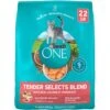 Purina ONE Tender Selects Blend With Real Salmon Dry Cat Food