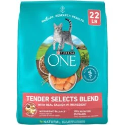 Purina ONE Tender Selects Blend With Real Salmon Dry Cat Food
