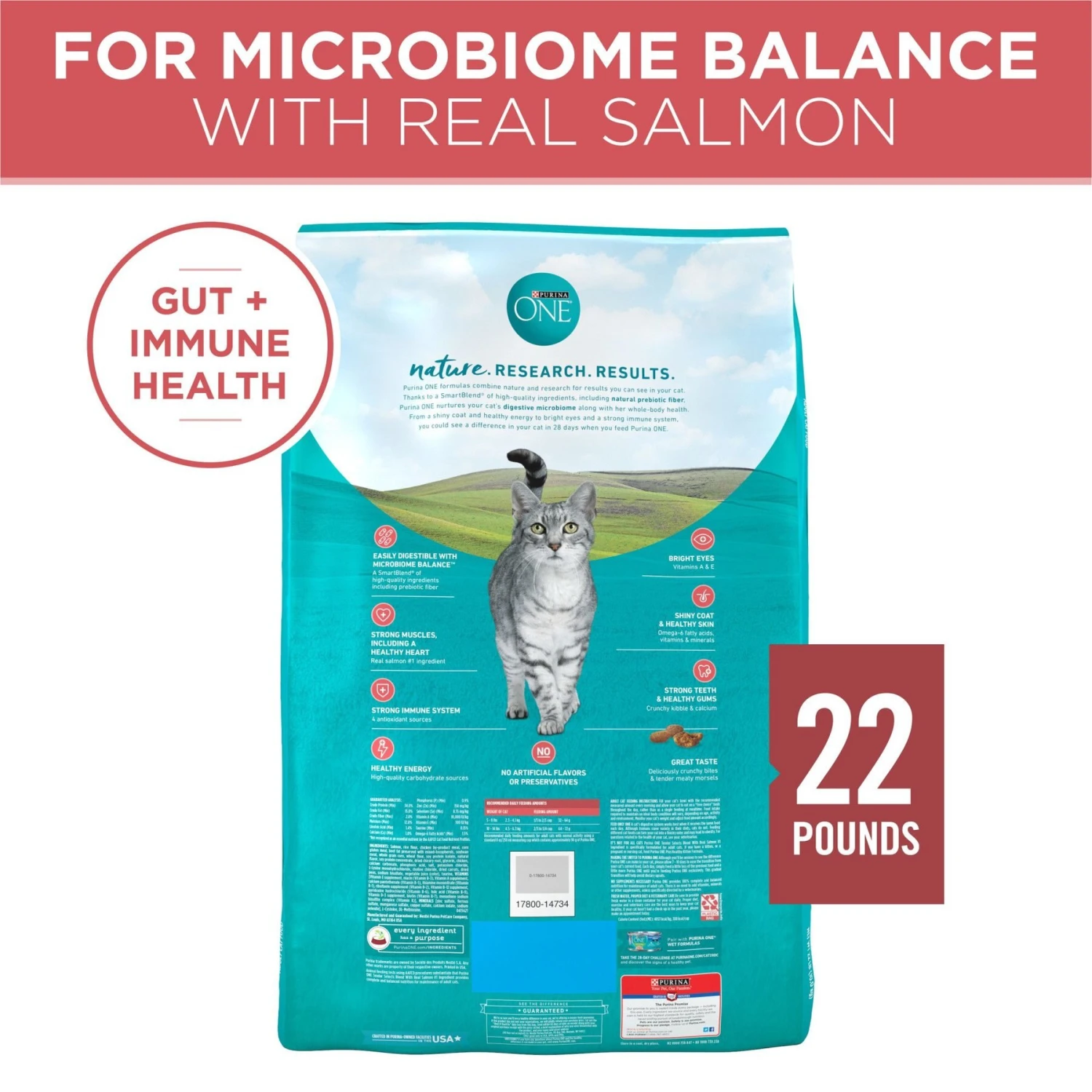 Purina ONE Tender Selects Blend With Real Salmon Dry Cat Food 4 Purina ONE Tender Selects Blend With Real Salmon Dry Cat Food - Image 2