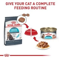 Royal Canin Feline Care Nutrition Urinary Care Adult Dry Cat Food -PurePet Bites Shop 234598 PT5. AC SS1800 V1697753769