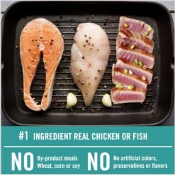 Chicken Soup For The Soul Classic Salmon & Brown Rice Recipe Adult Cat Dry Food -PurePet Bites Shop 236301 PT2. AC SS1800 V1694726369