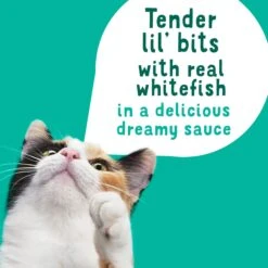 Friskies Lil Slurprises With Surimi Whitefish In Dreamy Sauce Wet Cat Food Topper -PurePet Bites Shop 237920 PT3. AC SS1800 V1695744265