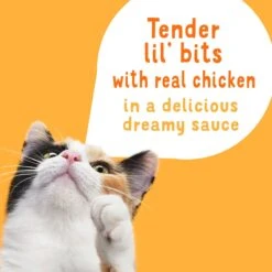 Friskies Lil Slurprises With Shredded Chicken In Dreamy Sauce Wet Cat Food Topper -PurePet Bites Shop 237922 PT3. AC SS1800 V1695845918