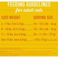 Tiki Cat Born Carnivore Chicken & Egg Grain-Free Dry Cat Food -PurePet Bites Shop 239939 PT4. AC SS1800 V1702938127