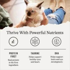 American Journey Kitten Minced Chicken Recipe in Gravy Grain-Free Canned Cat Food, 3-oz, Case Of 24 -PurePet Bites Shop 242874 PT5. AC SS1800 V1689951401