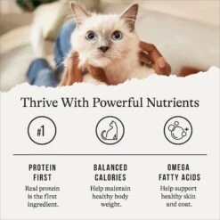 American Journey Indoor Minced Chicken Recipe in Gravy Grain-Free Canned Cat Food, 5.5-oz, Case Of 24 -PurePet Bites Shop 242878 PT5. AC SS1800 V1689951391