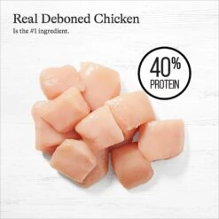 American Journey Kitten Chicken Recipe Grain-Free Dry Cat Food, 5-lb Bag -PurePet Bites Shop 243722 PT3. AC SS1800 V1668737517