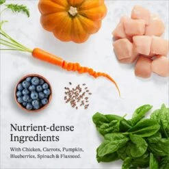 American Journey Kitten Chicken Recipe Grain-Free Dry Cat Food, 5-lb Bag -PurePet Bites Shop 243722 PT5. AC SS1800 V1680787128