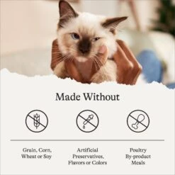 American Journey Kitten Chicken Recipe Grain-Free Dry Cat Food, 5-lb Bag -PurePet Bites Shop 243722 PT6. AC SS1800 V1680787128