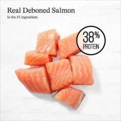 American Journey Indoor Recipe With Salmon Grain-Free Dry Cat Food, 12-lb Bag -PurePet Bites Shop 243726 PT3. AC SS1800 V1668736316