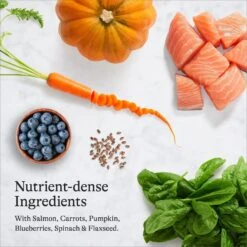 American Journey Indoor Recipe With Salmon Grain-Free Dry Cat Food, 12-lb Bag -PurePet Bites Shop 243726 PT5. AC SS1800 V1680787130