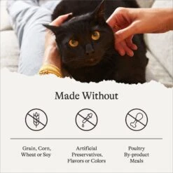 American Journey Indoor Recipe With Salmon Grain-Free Dry Cat Food, 12-lb Bag -PurePet Bites Shop 243726 PT6. AC SS1800 V1680787131