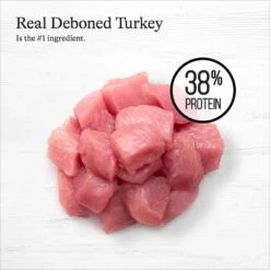 American Journey Indoor Recipe With Turkey & Chicken Grain-Free Dry Cat Food, 12-lb Bag -PurePet Bites Shop 243728 PT3. AC SS1800 V1668737234