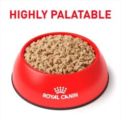 Royal Canin Veterinary Diet Adult Selected Protein PD Loaf Canned Cat Food -PurePet Bites Shop 247908 PT2. AC SS1800 V1695136876