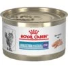 Royal Canin Veterinary Diet Adult Selected Protein PR Loaf In Sauce Canned Cat Food 1 Royal Canin Veterinary Diet Adult Selected Protein PR Loaf In Sauce Canned Cat Food -PurePet Bites Shop 247909 MAIN. AC SS1800 V1695082325