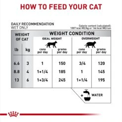 Royal Canin Veterinary Diet Adult Selected Protein PR Loaf In Sauce Canned Cat Food -PurePet Bites Shop 247909 PT6. AC SS1800 V1695136998