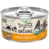 Purina Beyond High Protein Organic Chicken & Carrot Recipe Wet Cat Food, 3-oz Can, Case Of 12 -PurePet Bites Shop 252852 MAIN. AC SS1800 V1700159359