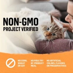 Purina Beyond High Protein Organic Chicken & Carrot Recipe Wet Cat Food, 3-oz Can, Case Of 12 -PurePet Bites Shop 252852 PT7. AC SS1800 V1700160140