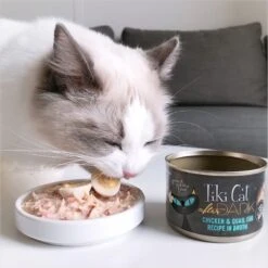 Tiki Cat Chicken Craves Variety Pack Grain-Free Wet Cat Food, 2.8-oz, Case Of 36 -PurePet Bites Shop 254319 PT6. AC SS1800 V1672952371
