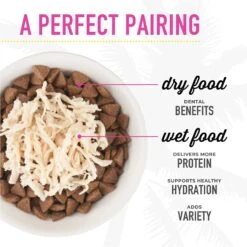 Tiki Cat Chicken Craves Variety Pack Grain-Free Wet Cat Food, 2.8-oz, Case Of 36 -PurePet Bites Shop 254319 PT8. AC SS1800 V1672947678