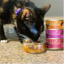 Tiki Cat Seafood Selects Variety Pack Grain-Free Wet Cat Food, 2.8-oz, Case Of 36 -PurePet Bites Shop 254321 PT6. AC SS1800 V1672952179