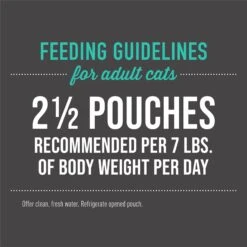 Tiki Cat Special Function Formula Skin & Coat Salmon Recipe In Broth Wet Cat Food, 2.4-oz, Case Of 12 -PurePet Bites Shop 259098 PT6. AC SS1800 V1703800127
