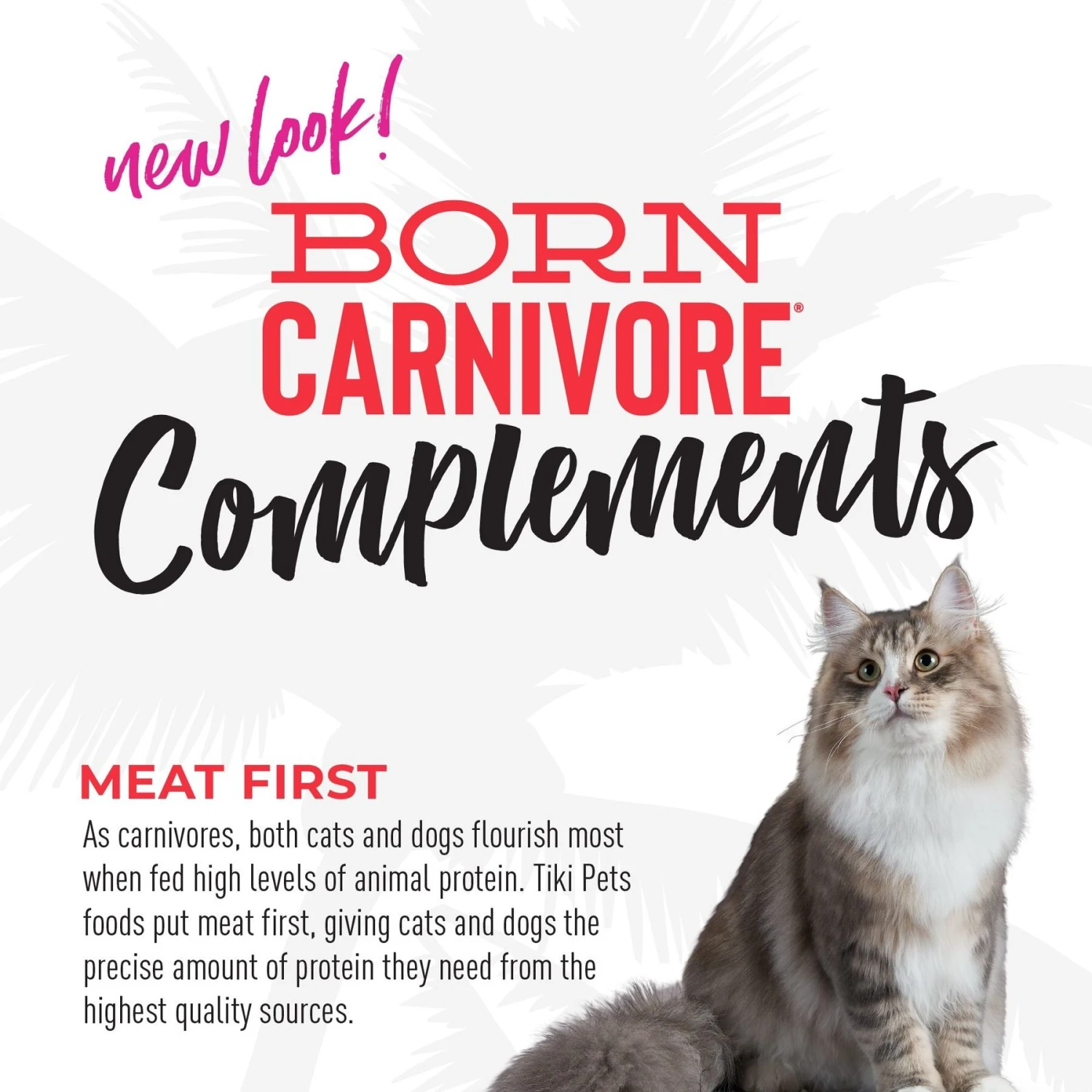 Tiki Cat Born Carnivore Complements Chicken & Beef Recipe In Chicken Broth Wet Cat Food Topper, 2.1-oz, Case Of 8 8 Tiki Cat Born Carnivore Complements Chicken & Beef Recipe In Chicken Broth Wet Cat Food Topper, 2.1-oz, Case Of 8 - Image 6