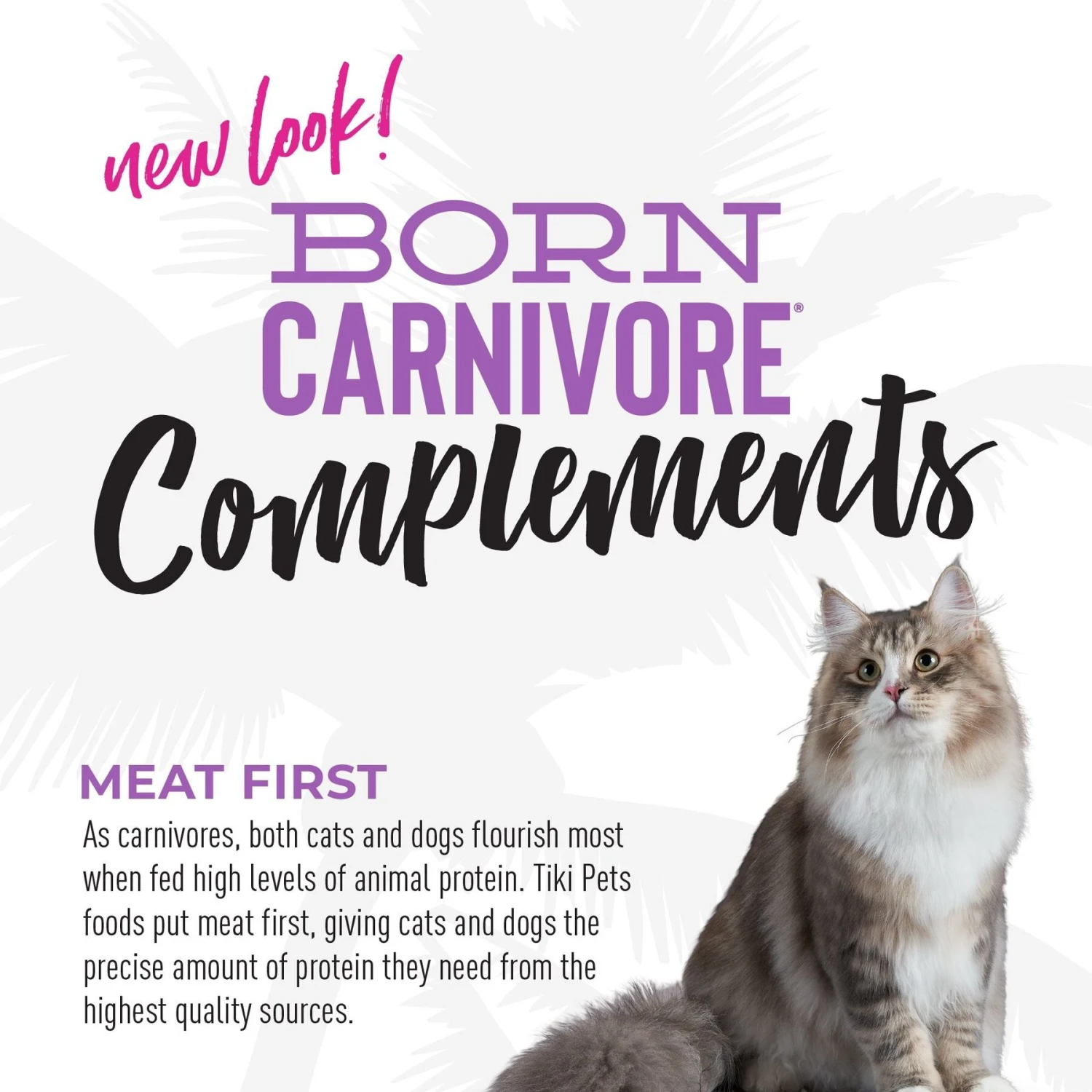 Tiki Cat Born Carnivore Complements Chicken & Duck Recipe In Chicken Broth Wet Cat Food Topper, 2.1-oz, Case Of 8 8 Tiki Cat Born Carnivore Complements Chicken & Duck Recipe In Chicken Broth Wet Cat Food Topper, 2.1-oz, Case Of 8 - Image 6