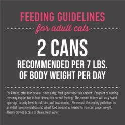 Tiki Cat Pate Sardine & Lobster Consomme Recipe In Broth Wet Cat Food -PurePet Bites Shop 259124 PT6. AC SS1800 V1703800183