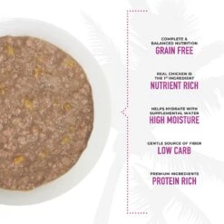 Tiki Cat Aloha Friends Chicken, Pumpkin & Duck Recipe In Broth Grain-Free Wet Cat Food, 2.5-oz, Case Of 12 14 Tiki Cat Aloha Friends Chicken, Pumpkin & Duck Recipe In Broth Grain-Free Wet Cat Food, 2.5-oz, Case Of 12 -PurePet Bites Shop 259138 PT4. AC SS1800 V1657656402
