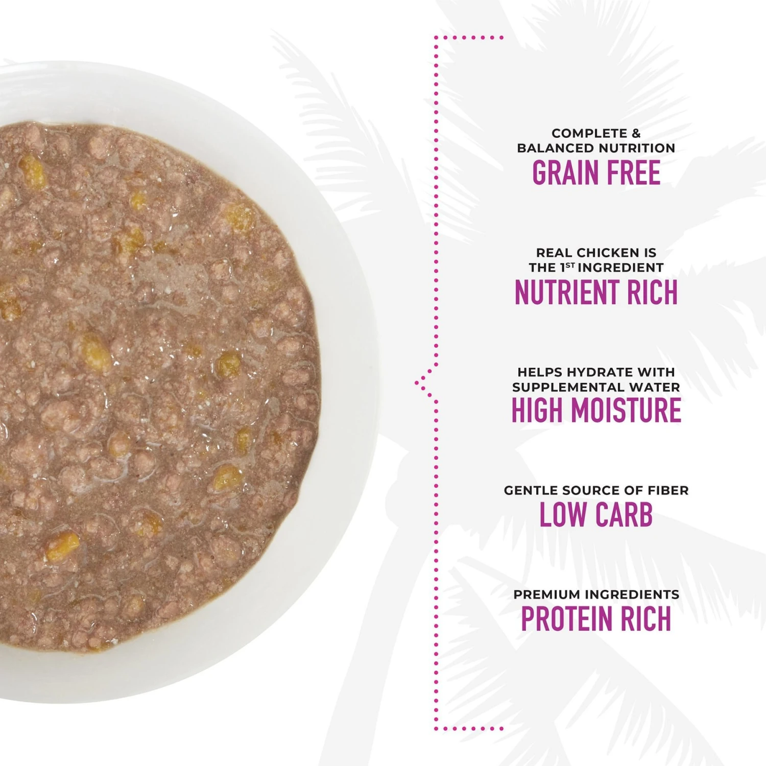 Tiki Cat Aloha Friends Chicken, Pumpkin & Duck Recipe In Broth Grain-Free Wet Cat Food, 2.5-oz, Case Of 12 7 Tiki Cat Aloha Friends Chicken, Pumpkin & Duck Recipe In Broth Grain-Free Wet Cat Food, 2.5-oz, Case Of 12 - Image 5