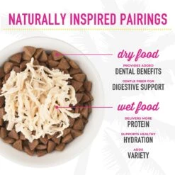 Tiki Cat Aloha Friends Chicken Variety Pack Grain-Free Wet Cat Food, 2.5-oz, Case Of 12 -PurePet Bites Shop 259146 PT8. AC SS1800 V1650465431