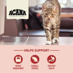 ACANA Indoor Entrée Adult Dry Cat Food -PurePet Bites Shop 259538 PT4. AC SS1800 V1690999828