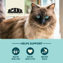 ACANA Bountiful Catch High-Protein Adult Dry Cat Food -PurePet Bites Shop 259541 PT4. AC SS1800 V1690998096