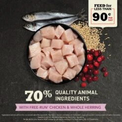 ACANA First Feast High-Protein Kitten Dry Cat Food, 4-lb Bag -PurePet Bites Shop 259568 PT3. AC SS1800 V1690996623