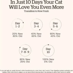 Now Fresh Grain-Free Kitten Formula Dry Cat Food -PurePet Bites Shop 261233 PT6. AC SS1800 V1637793381