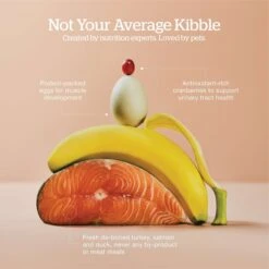 Now Fresh Grain-Free Adult Formula Dry Cat Food -PurePet Bites Shop 261235 PT3. AC SS1800 V1637793717