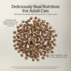 Now Fresh Grain-Free Adult Formula Dry Cat Food -PurePet Bites Shop 261235 PT4. AC SS1800 V1637790992