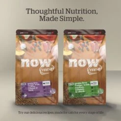 Now Fresh Grain-Free Adult Formula Dry Cat Food -PurePet Bites Shop 261235 PT5. AC SS1800 V1637792613