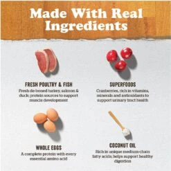 Now Fresh Grain-Free Senior Dry Cat Food -PurePet Bites Shop 261237 PT3. AC SS1800 V1637791458