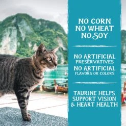 Triumph Free Spirit Deboned Ocean Whitefish & Egg Recipe Dry Cat Food -PurePet Bites Shop 262213 PT3. AC SS1800 V1606867038