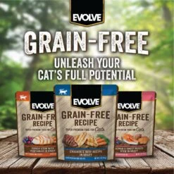 Evolve Chicken & Beef Recipe In Gravy Grain-Free Wet Pouch Cat Food, 3-oz Pouch, Case Of 24 -PurePet Bites Shop 262858 PT8. AC SS1800 V1606866466