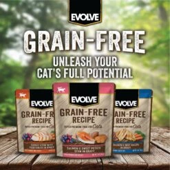 Evolve Salmon & Sweet Potato Stew In Gravy Grain-Free Wet Pouch Cat Food, 3-oz Pouch, Case Of 24 -PurePet Bites Shop 262860 PT8. AC SS1800 V1606867927